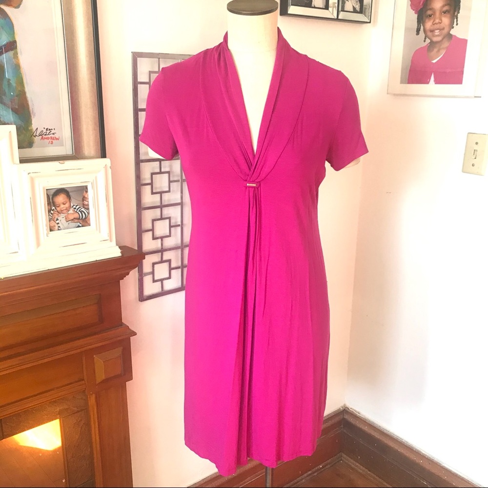 Calvin Klein Barbiecore Pink, Sz S Short Slv Dress Soft Sexy Feminine
